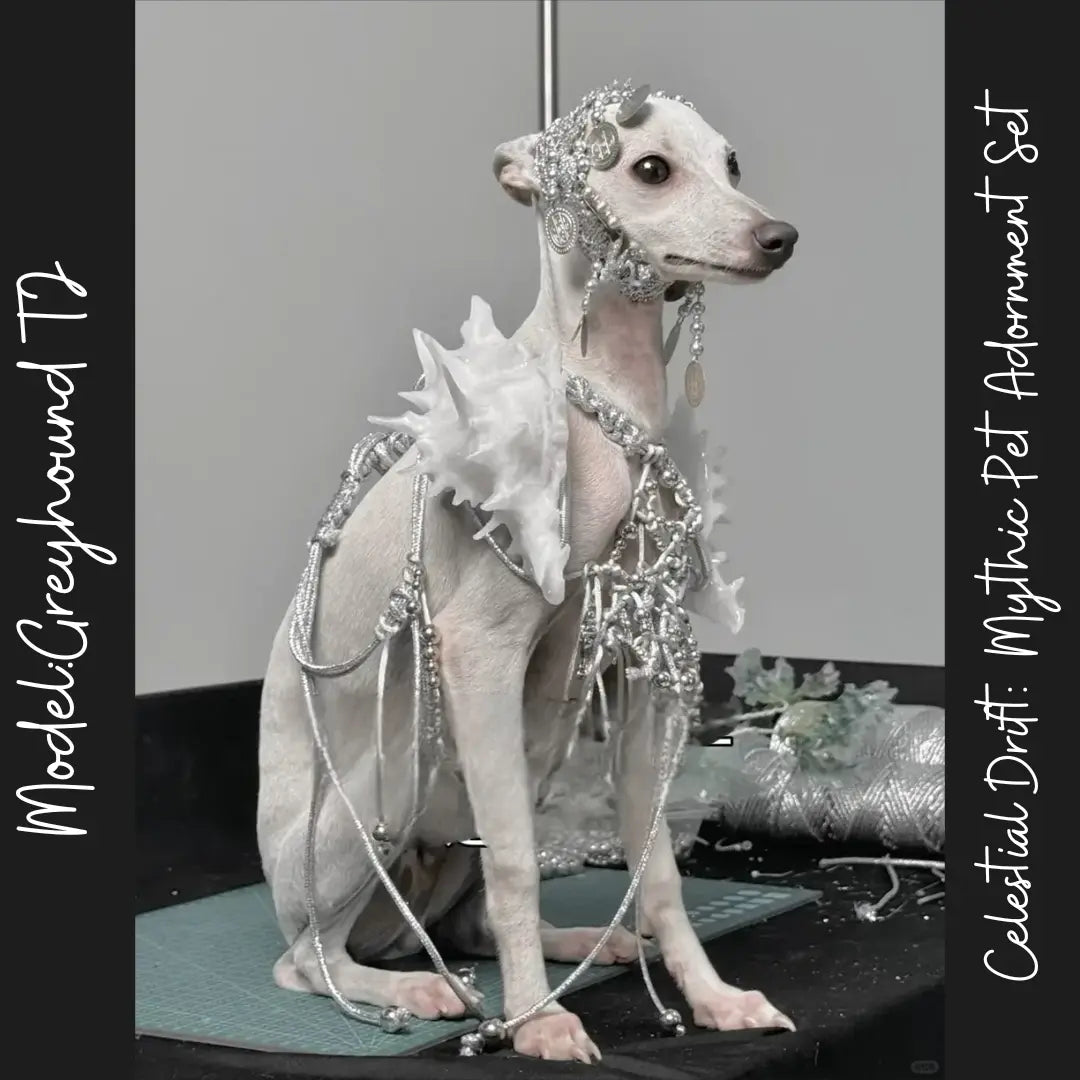 Celestial Drift: Mythic Pet Adornment Set
