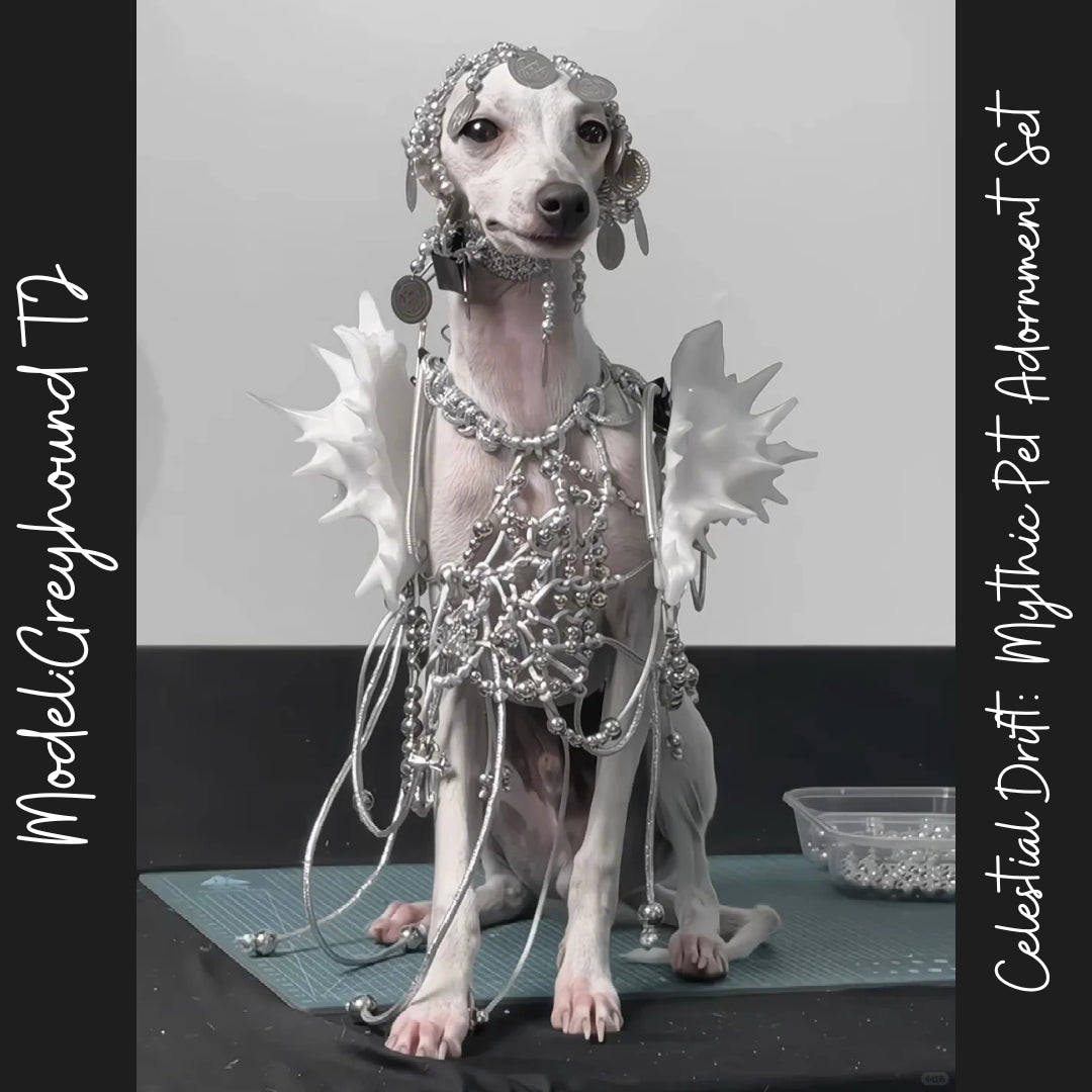 Celestial Drift: Mythic Pet Adornment Set
