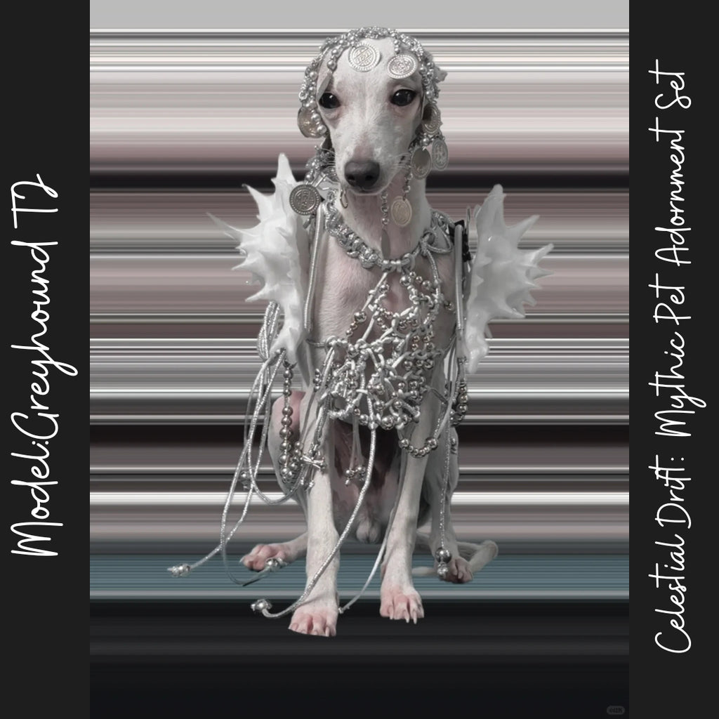 Celestial Drift: Mythic Pet Adornment Set