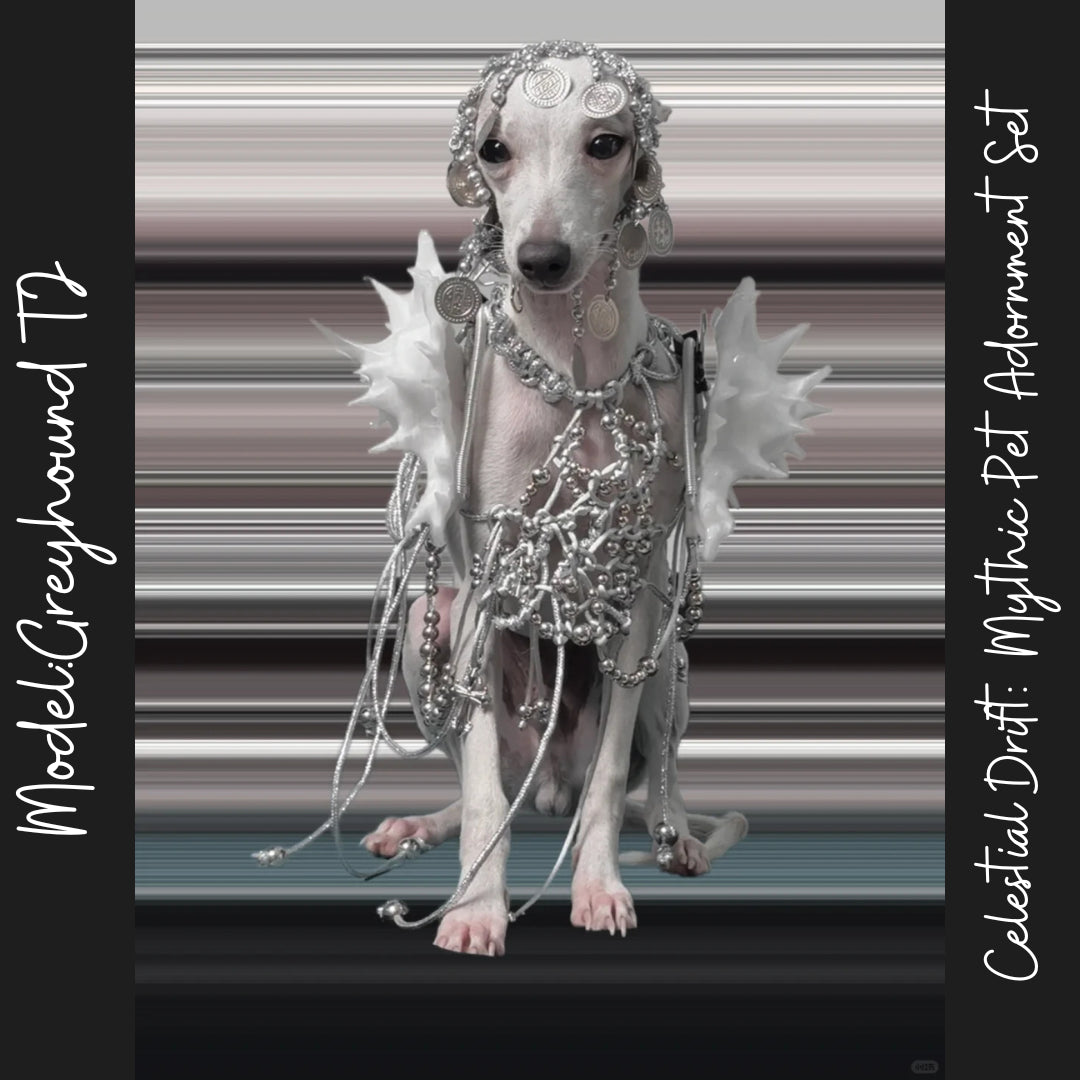 Celestial Drift: Mythic Pet Adornment Set