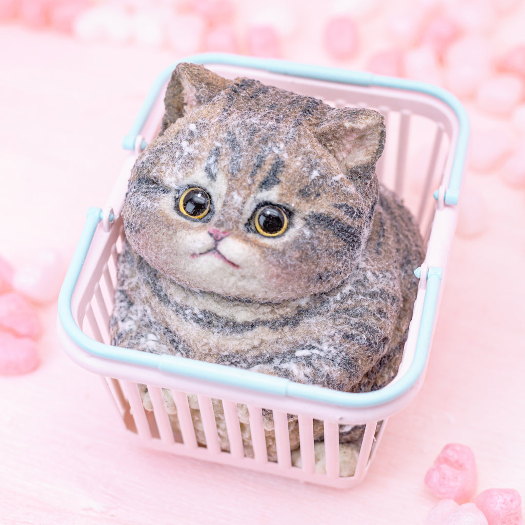 Chubby Brown Tabby Squishy Toy