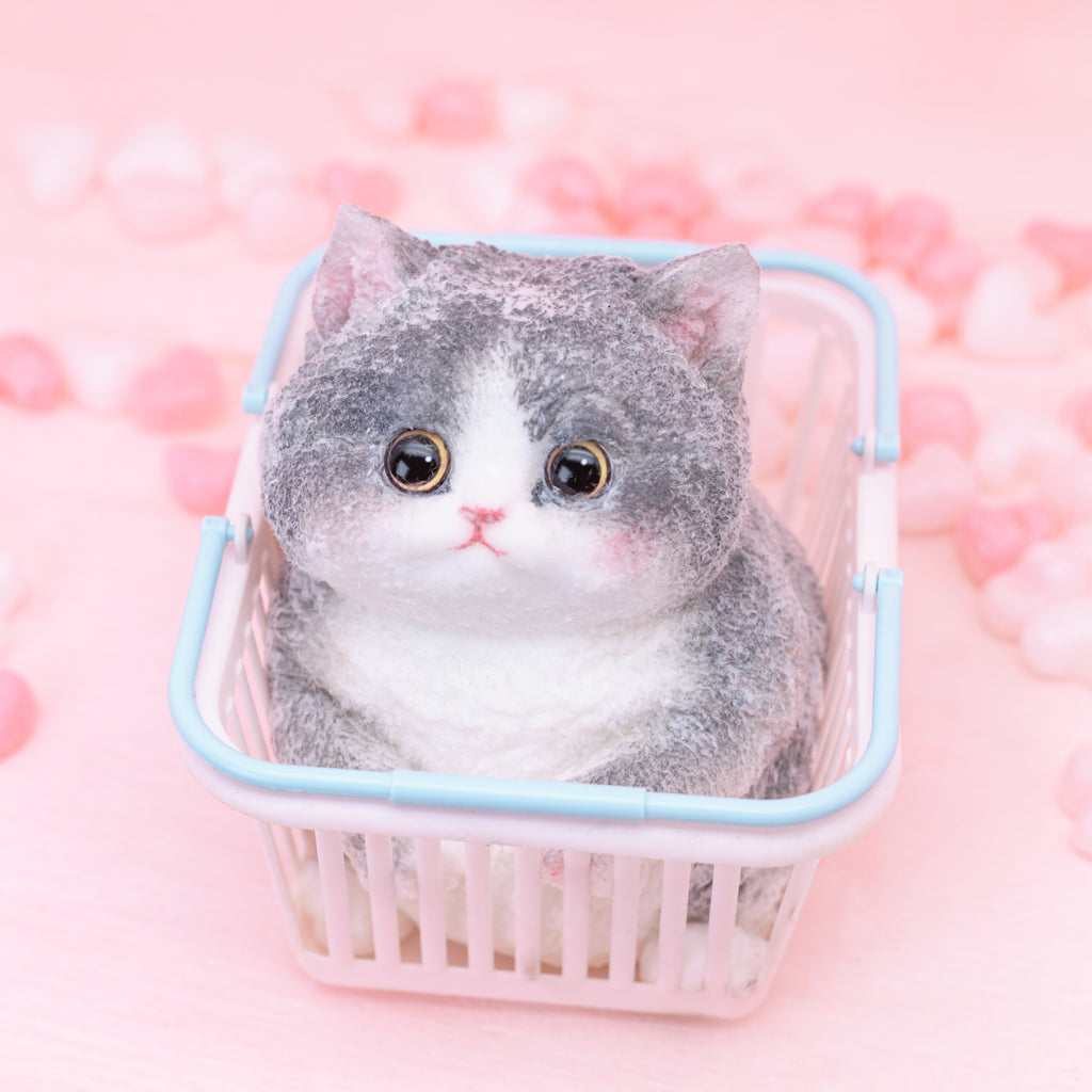 Blue and White British Shorthair Squishy Toy