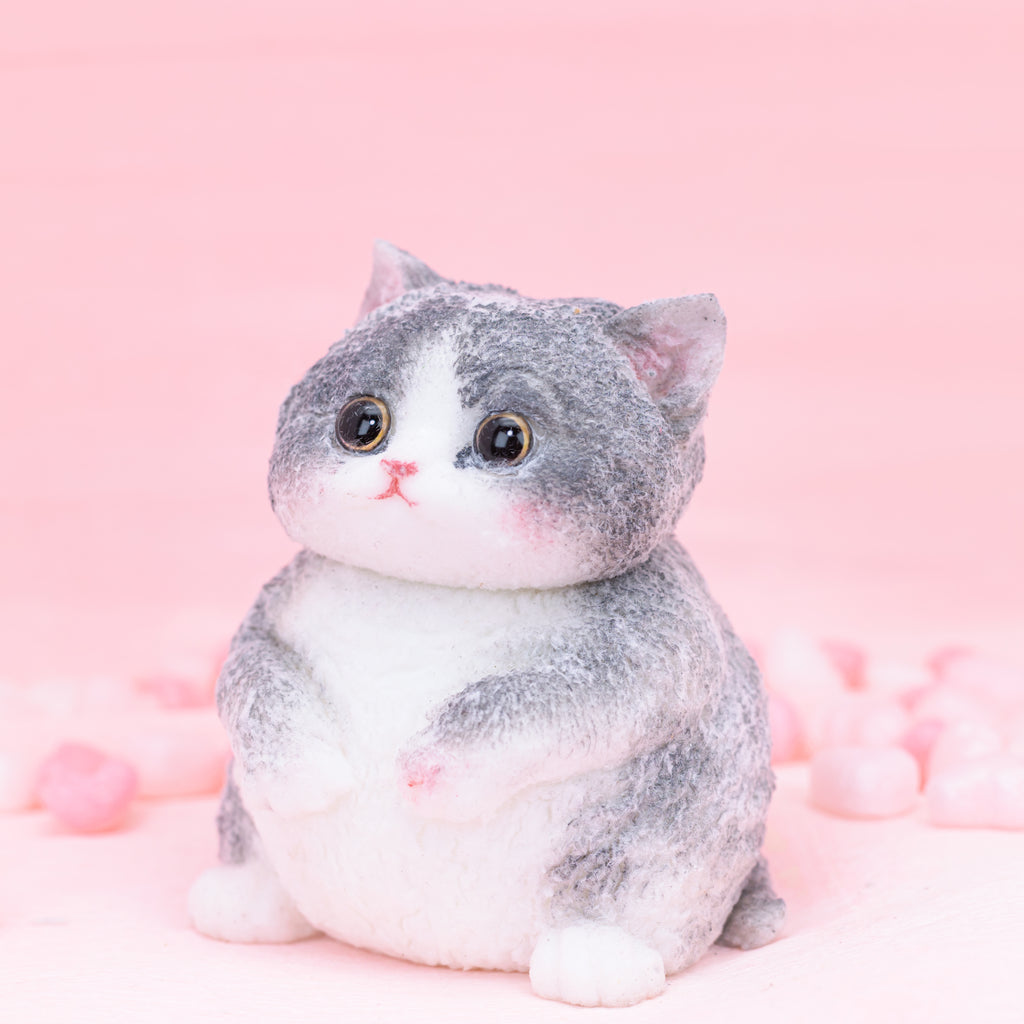 Blue and White British Shorthair Squishy Toy