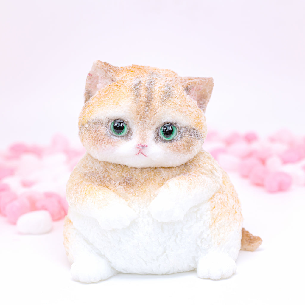 Golden British Shorthair Squishy Toy