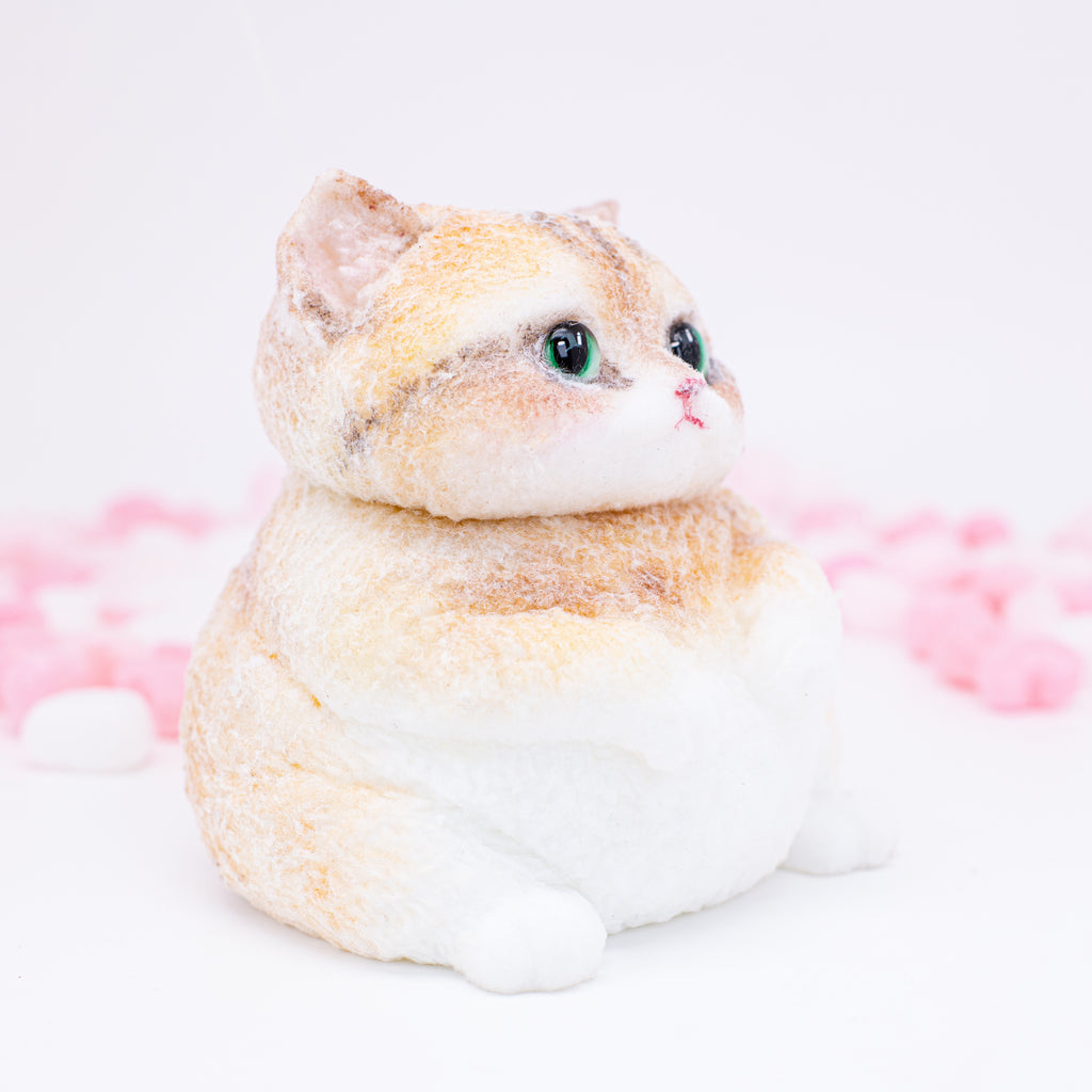 Golden British Shorthair Squishy Toy