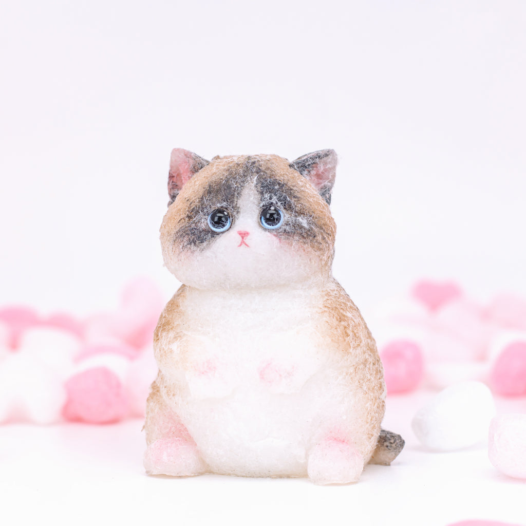 Cute Ragdoll Kitten Squishy Toy