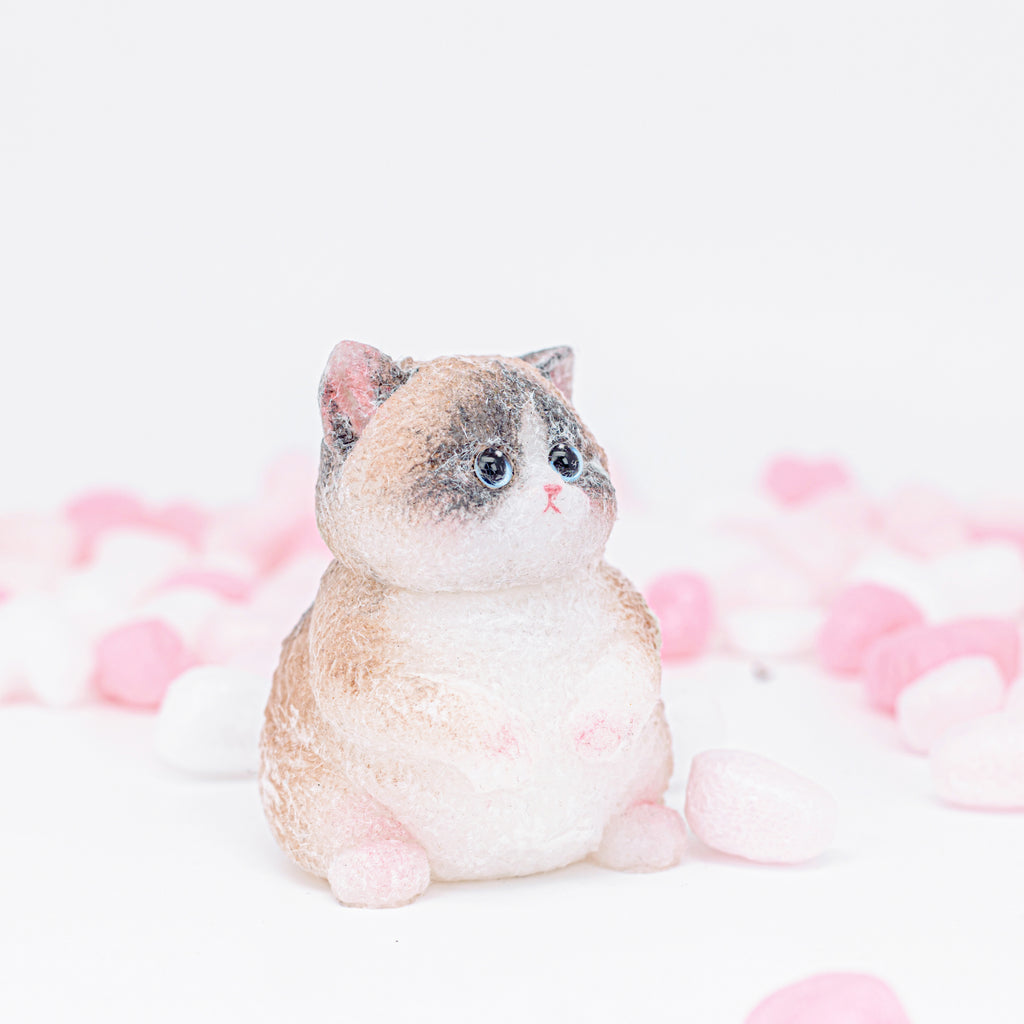 Cute Ragdoll Kitten Squishy Toy