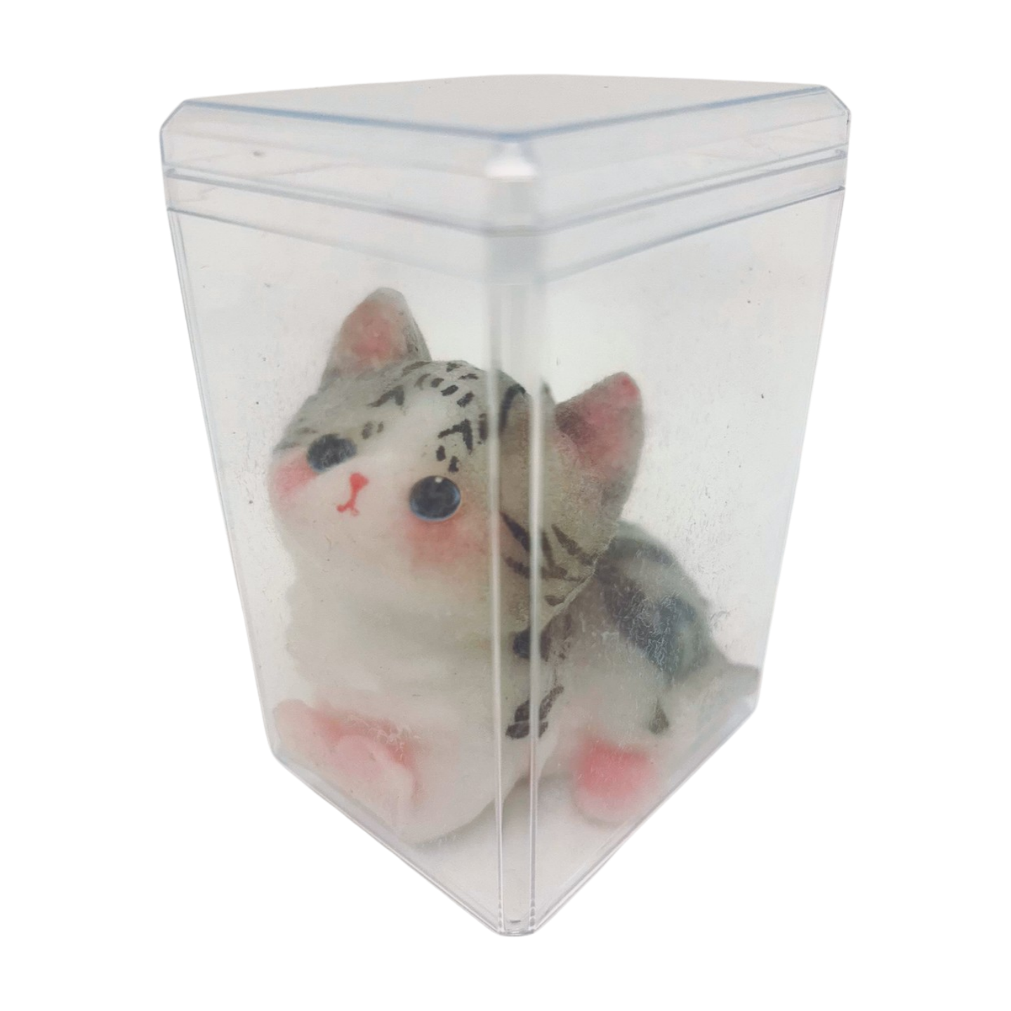 American Shorthair Kitten Squishy Toy